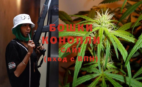 индика Усолье-Сибирское