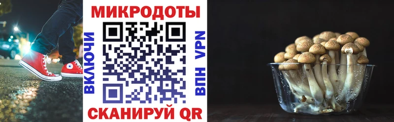 Купить закладки  Любань  Псилоцибиновые грибы ЛСД 